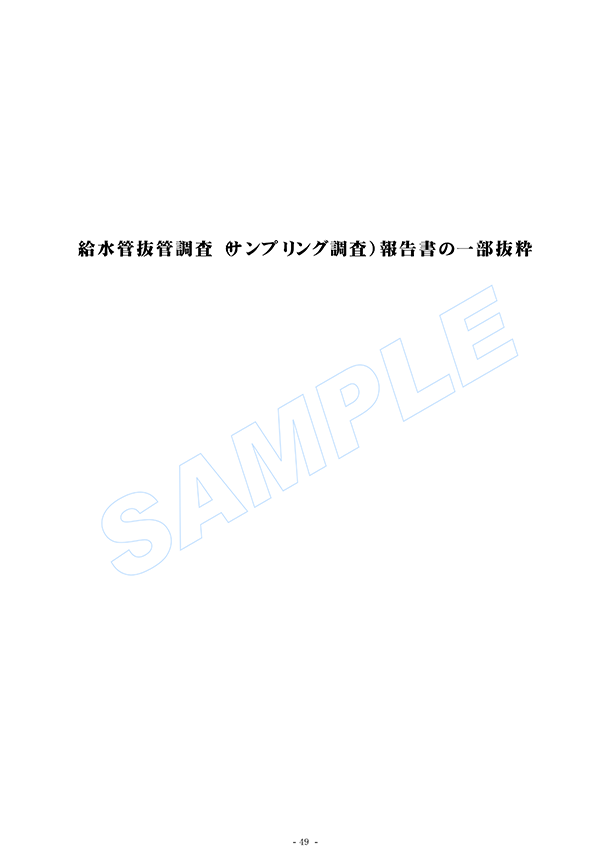給水管抜管調査(サンプリング調査 )報告書の一部抜粋